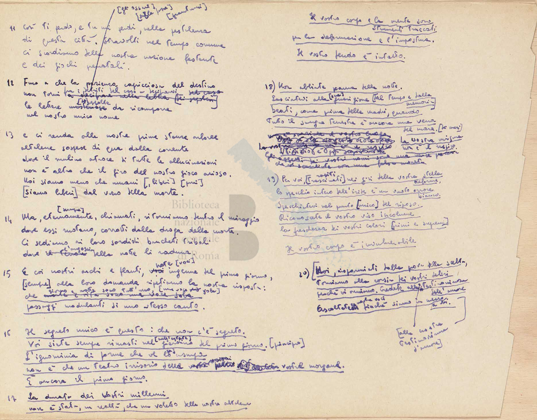 Peyotl. Un liquore amaro che fa sudare